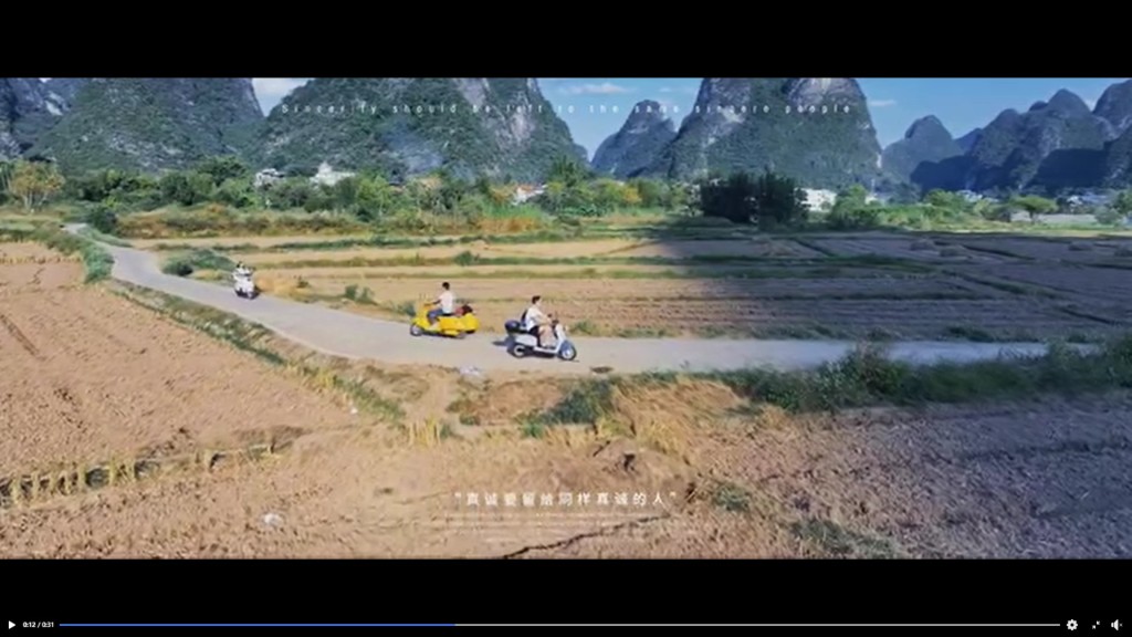 樓主玩挎鬥車（即電動三輪車）。網上截圖