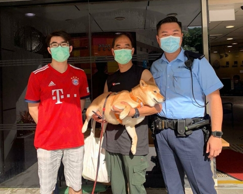 小柴犬已毫髮無損回到主人身邊。
香港警察 Hong Kong Police FB 圖片 