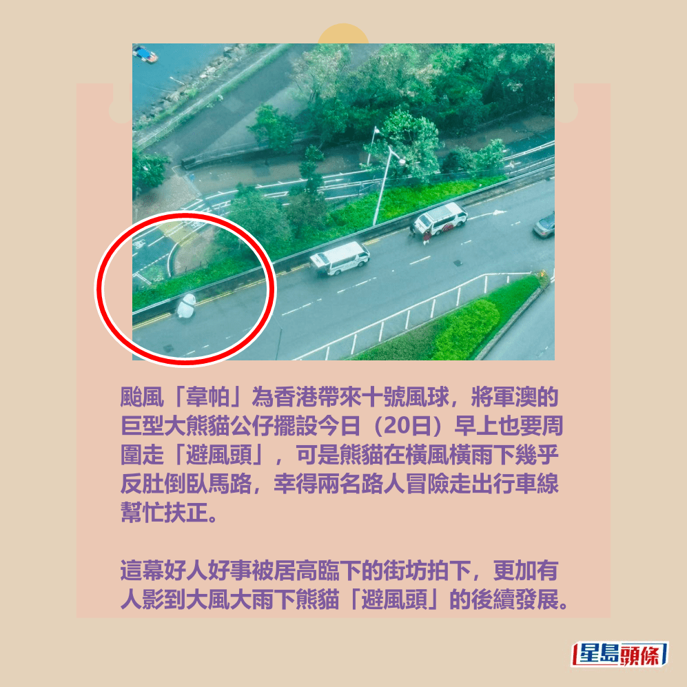 颱風「韋帕」為香港帶來十號風球，將軍澳的 巨型大熊貓公仔擺設今日（20日）早上也要周 圍走「避風頭」，可是熊貓在橫風橫雨下幾乎 反肚倒臥馬路，幸得兩名路人冒險走出行車線 幫忙扶正。fb「將軍澳主場」截圖