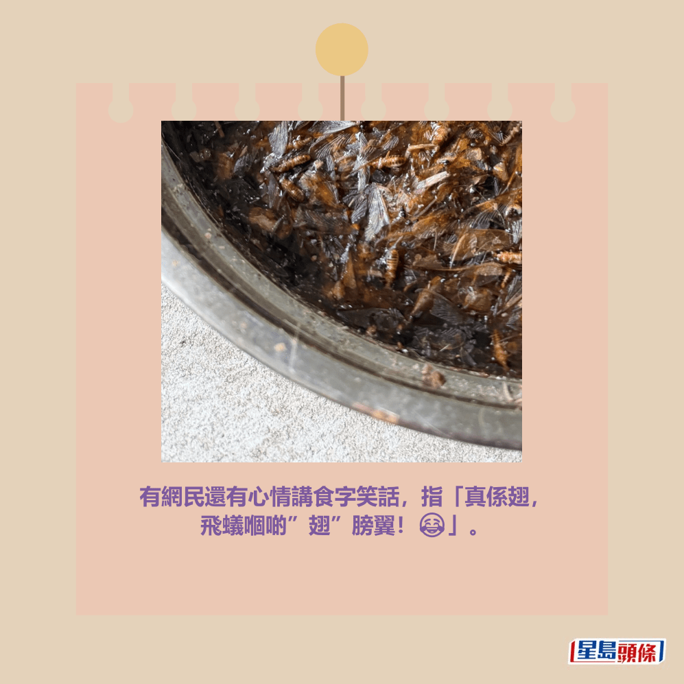 Threads截圖（資料來源：nosemiu＠Threads）