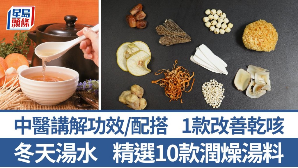 冬天湯水 10款家常潤燥湯料 中醫講解功效/宜忌/食法 1款改善乾咳 蓮子/川貝/雪梨乾/海底椰/雪耳/羊肚菌/蟲草花/無花果/椰棗淮山｜食材知識