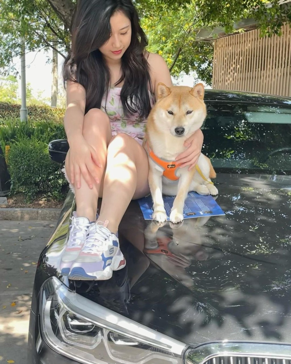 黎佩琳曾與愛犬坐在名車車頭蓋拍照。