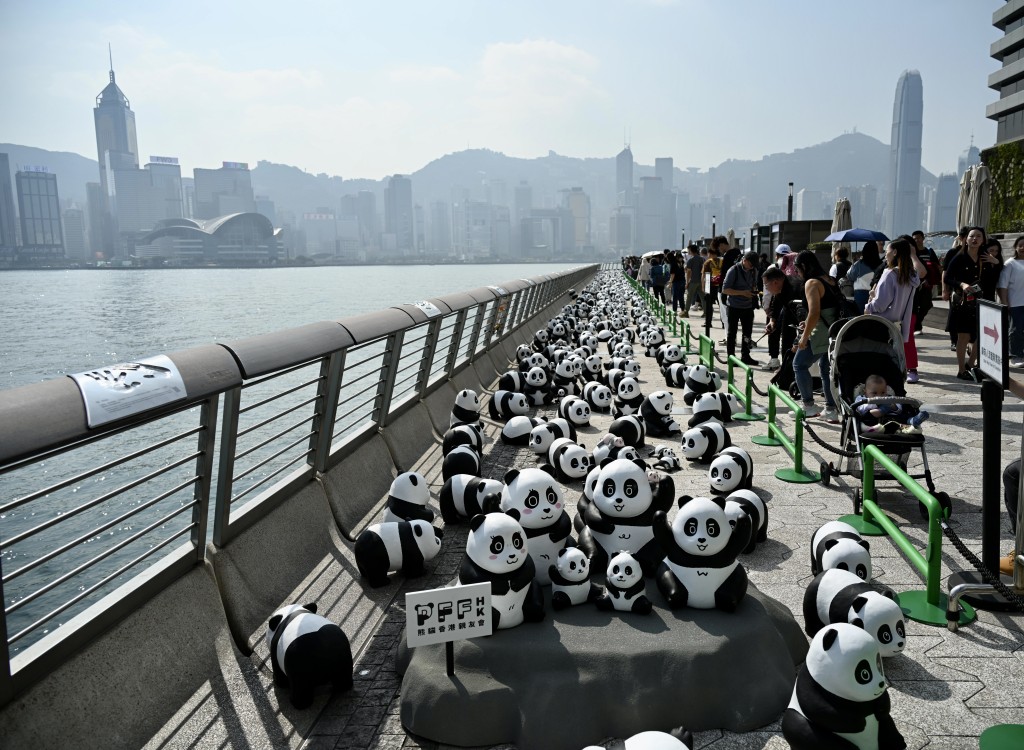 《PANDA GO！香港遊》在港展出2,500隻大熊貓雕塑。資料圖片