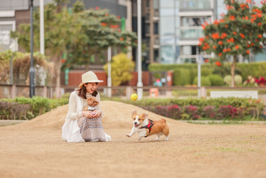 市集分别于PopWalk 1期及2期长廊举行，除市集精品及宠物活动外，更设多个打卡位。