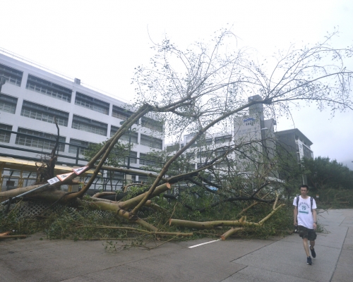 颱風山竹對本港帶來廣泛破壞。資料圖片