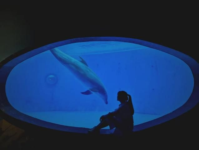 芝士在成都水族館。（網絡圖片）