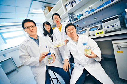 曾慶璐（前右）的研究團隊，證實噬藻體病毒是殺死於海洋裏提供氧氣的藍綠藻，新發現有望提升海洋清除二氧化碳的能力。