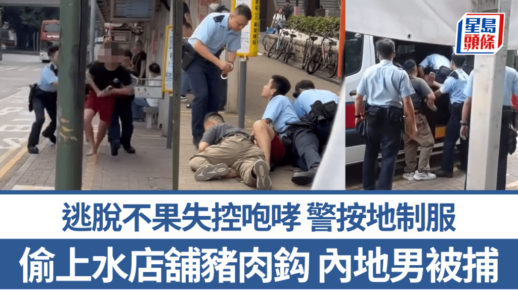 內地男偷上水店舖豬肉鈎 逃脫不果失控咆哮 警按地制服｜網民直擊