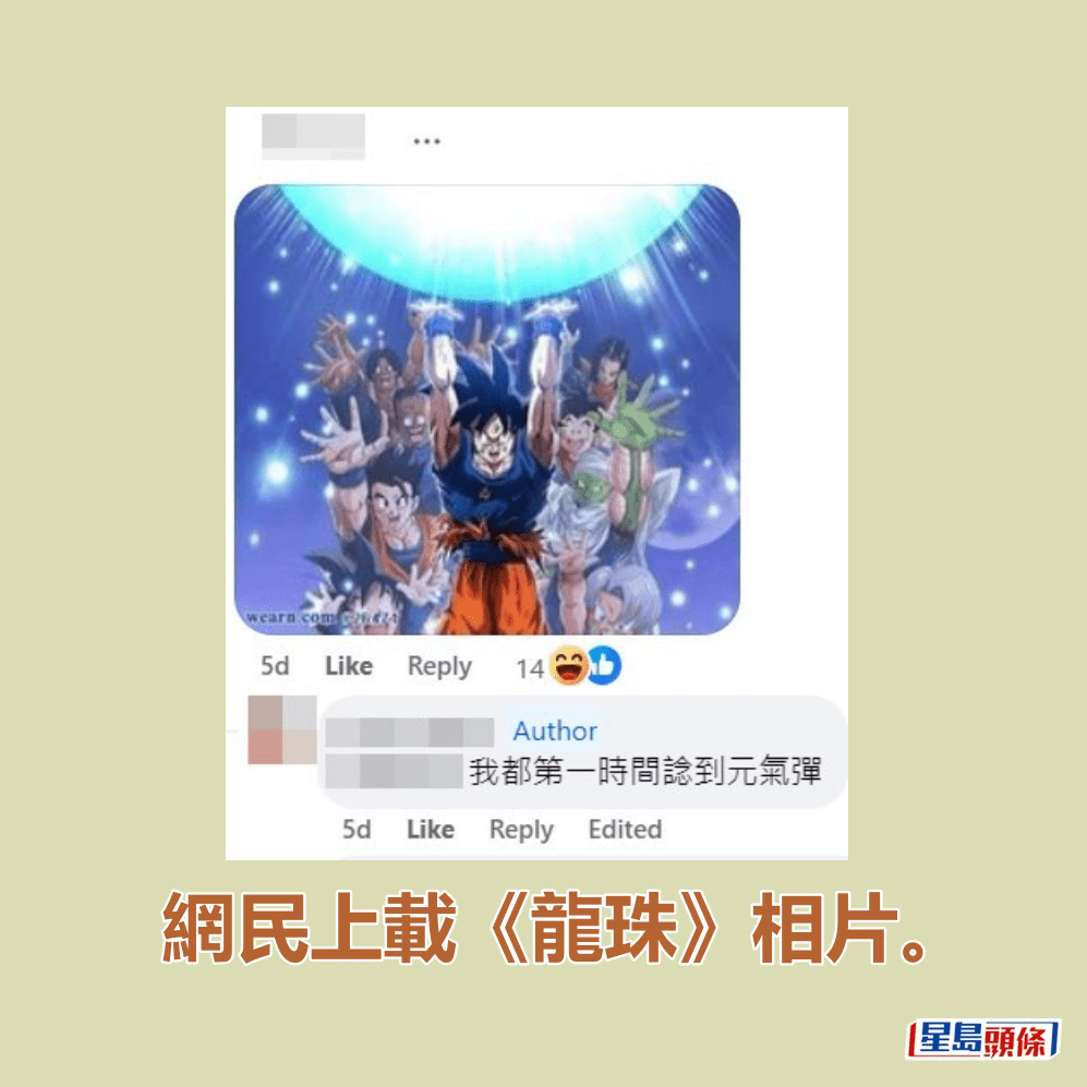 网民上载《龙珠》相片。fb「真.屯门友」截图