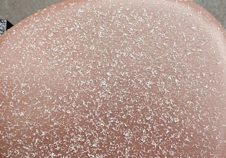 济南下的针形雪，有网友称像味精。