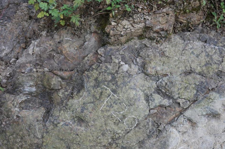 岩壁上有多個恐龍足跡。網上圖片