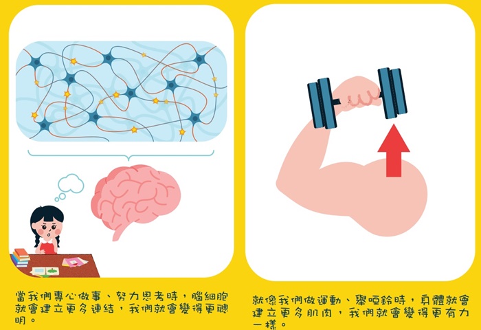 圖片截自教大《成長心態乜東東》小冊子