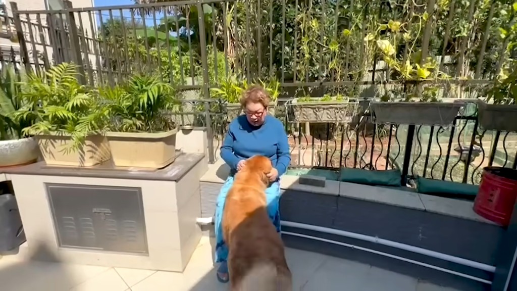 肥媽試過自己的YouTube頻道分享與狗狗相處的vlog。