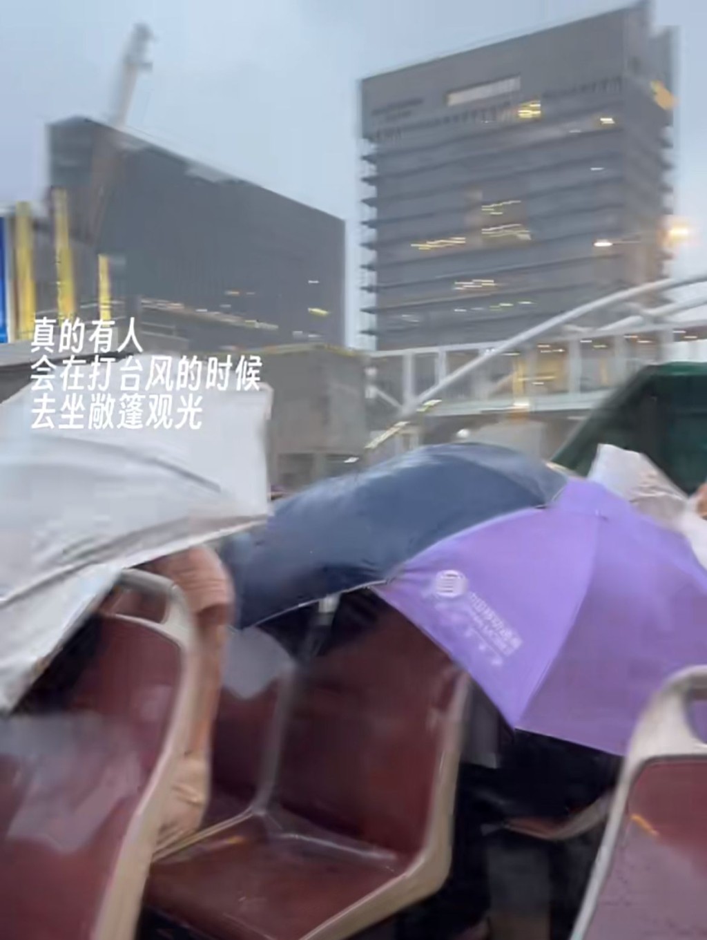 数人只好撑开雨伞对抗强风 (图源：小红书@不止一匹马)