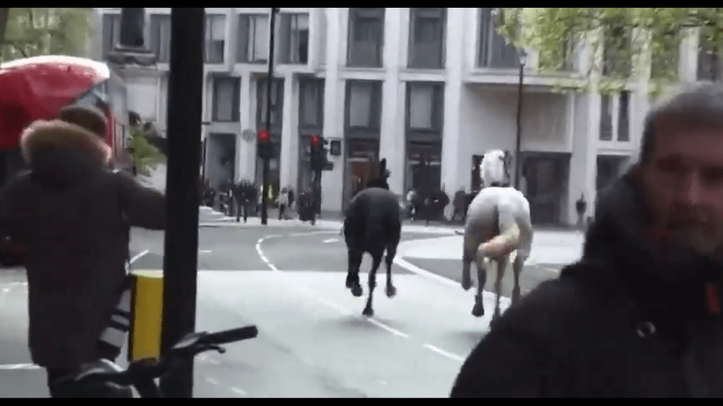 兩匹馬走向一處分岔路。 X