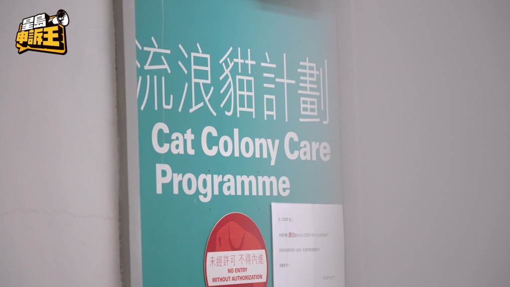 貓隻領域護理計劃（CCCP）