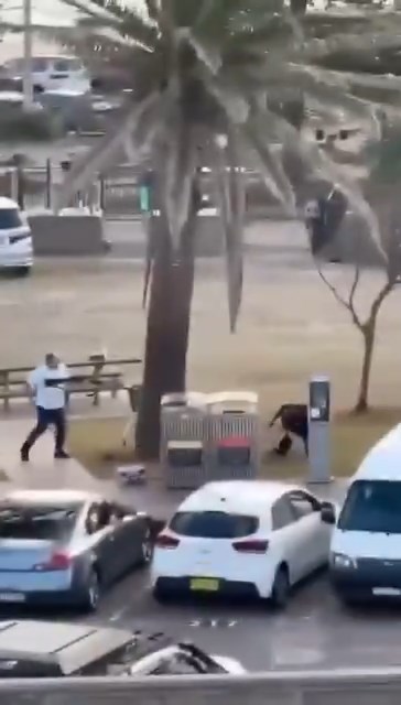 有網民拍下英雄民眾奪槍經過。X@Àdnanô 有網民拍下英雄民眾奪槍經過。X@Àdnanô