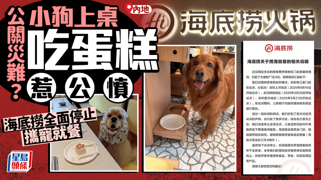 海底撈停止攜寵就餐試點　小狗上桌吃蛋糕惹社會爭議
