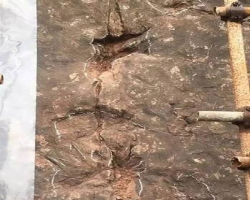 貴州省仁懷市茅台鎮發現大規模的恐龍足跡群