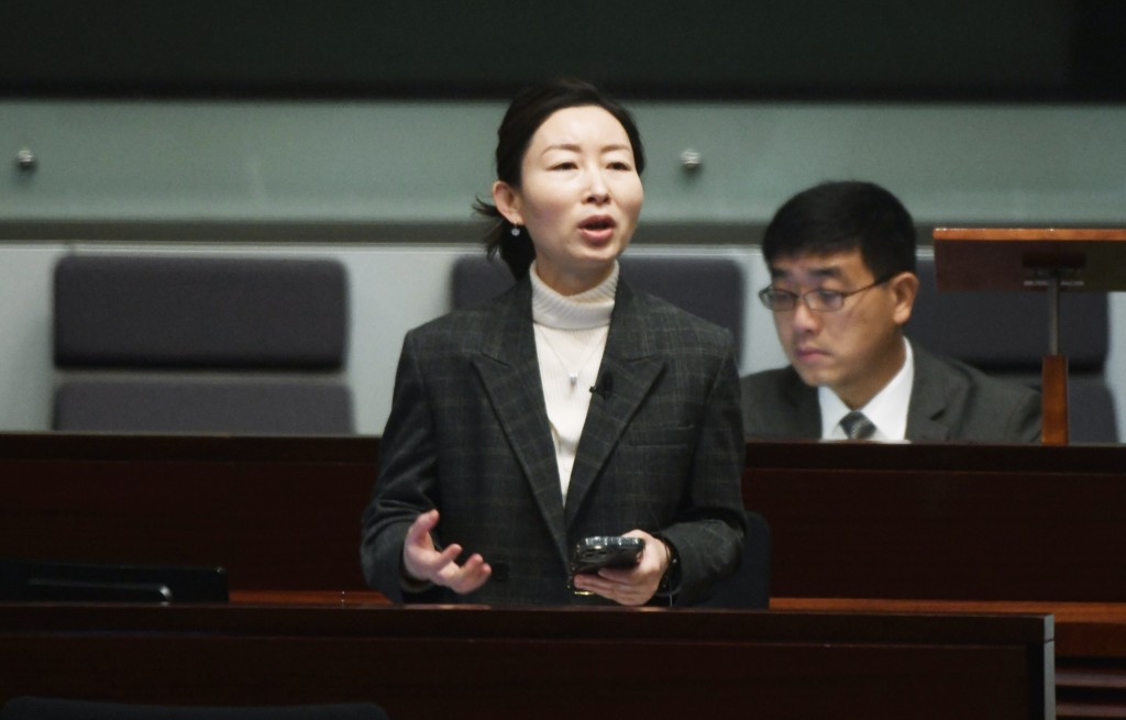 選委界議員洪雯。資料圖片 選委界議員洪雯。資料圖片