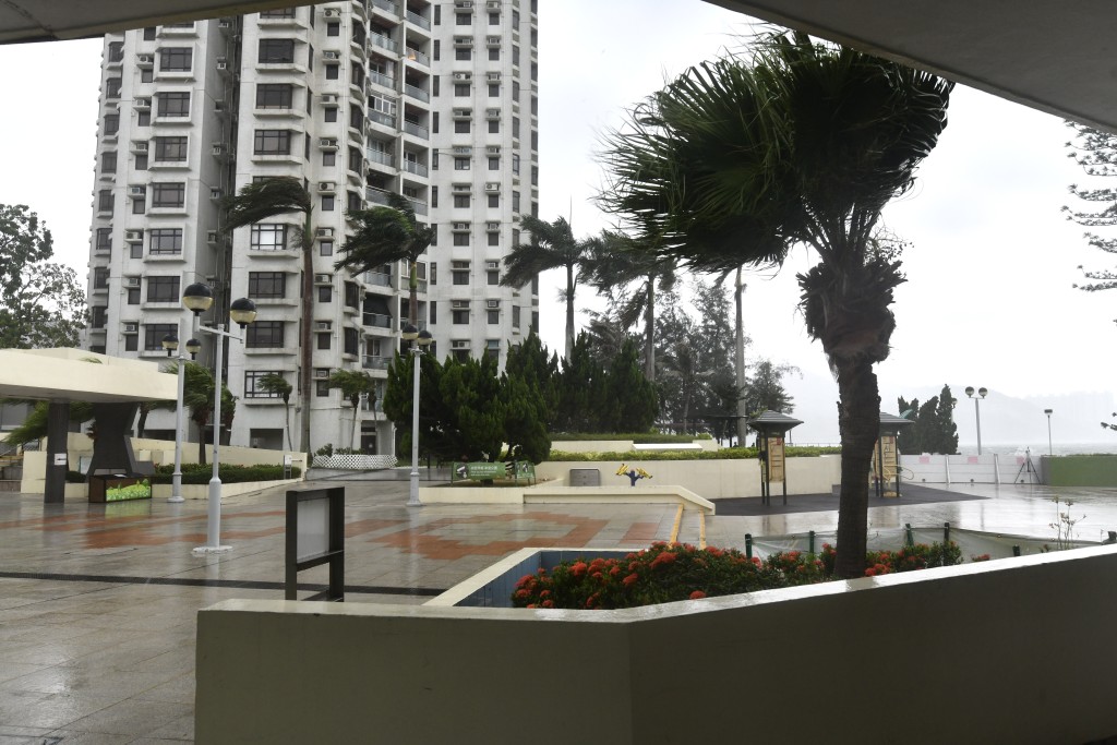 颱風泰利：8號風球下杏花邨海傍一帶有市民追風。（禇樂琪攝）