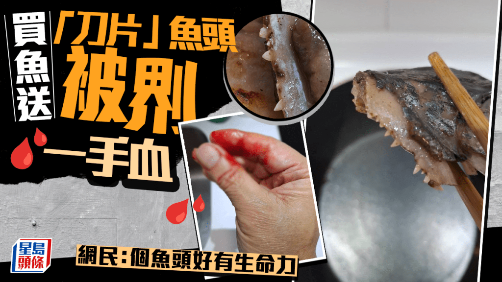 買魚送「刀片」魚頭被𠝹一手血 網民：個魚頭好有生命力