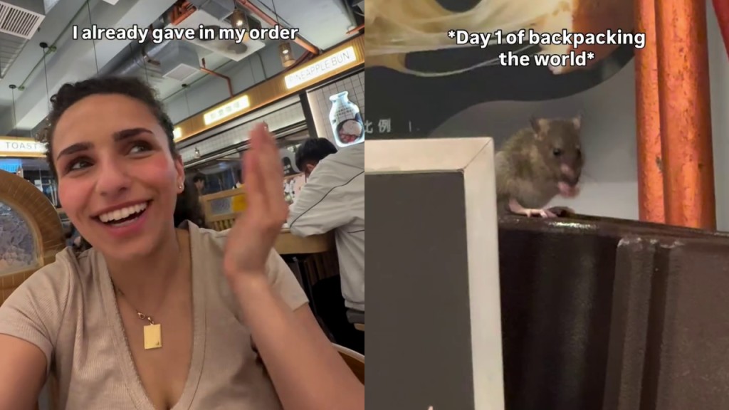 遊港德女冰室用膳驚見「五星級大鼠」　食環署巡查後檢控及衞生教育