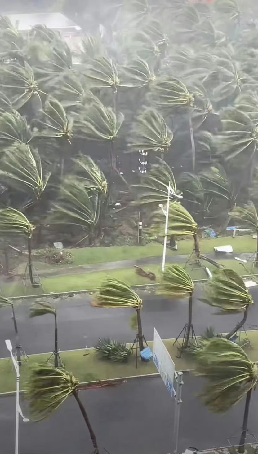 海南島上的樹被吹歪。（微博）