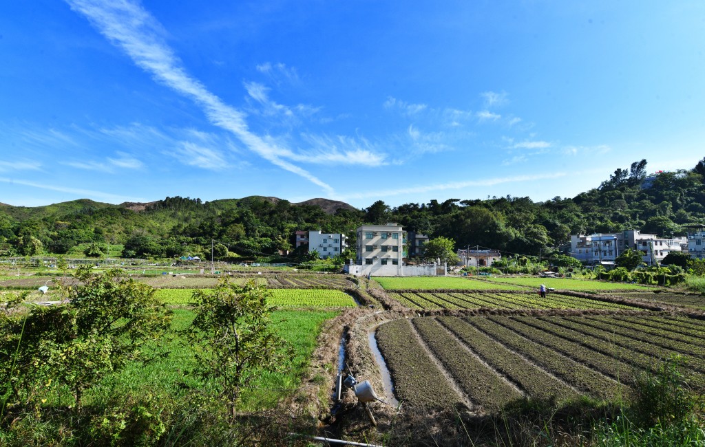 蔡冠深表示意向书有助展示团结。资料图片