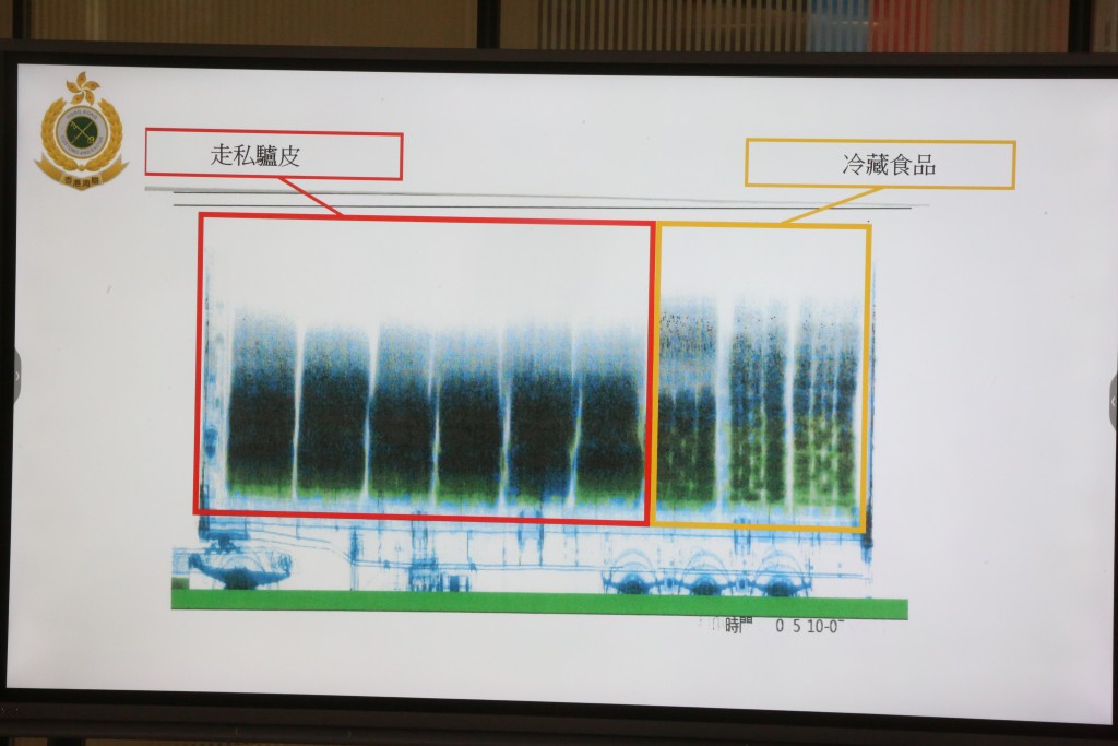 海關發現驢皮被收藏在冷藏食品後方。 海關發現驢皮被收藏在冷藏食品後方。