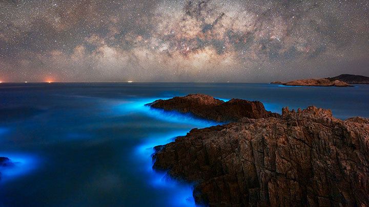 西貢白腊附近日前出現「藍眼淚」，非常壯觀。fb「同一星空下」專頁圖片