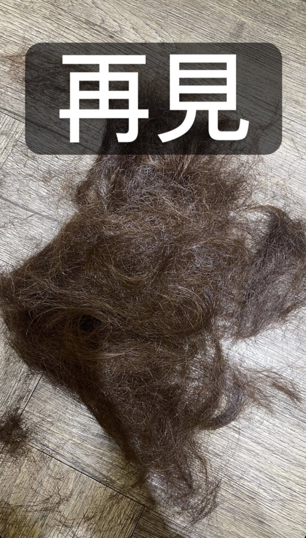 向地上的頭髮說再見。