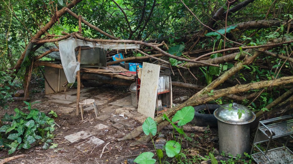 何俊賢問及當局會否考慮引用衞生條例處理一些餵飼野生狗隻的黑點。資料圖片 何俊賢問及當局會否考慮引用衞生條例處理一些餵飼野生狗隻的黑點。資料圖片