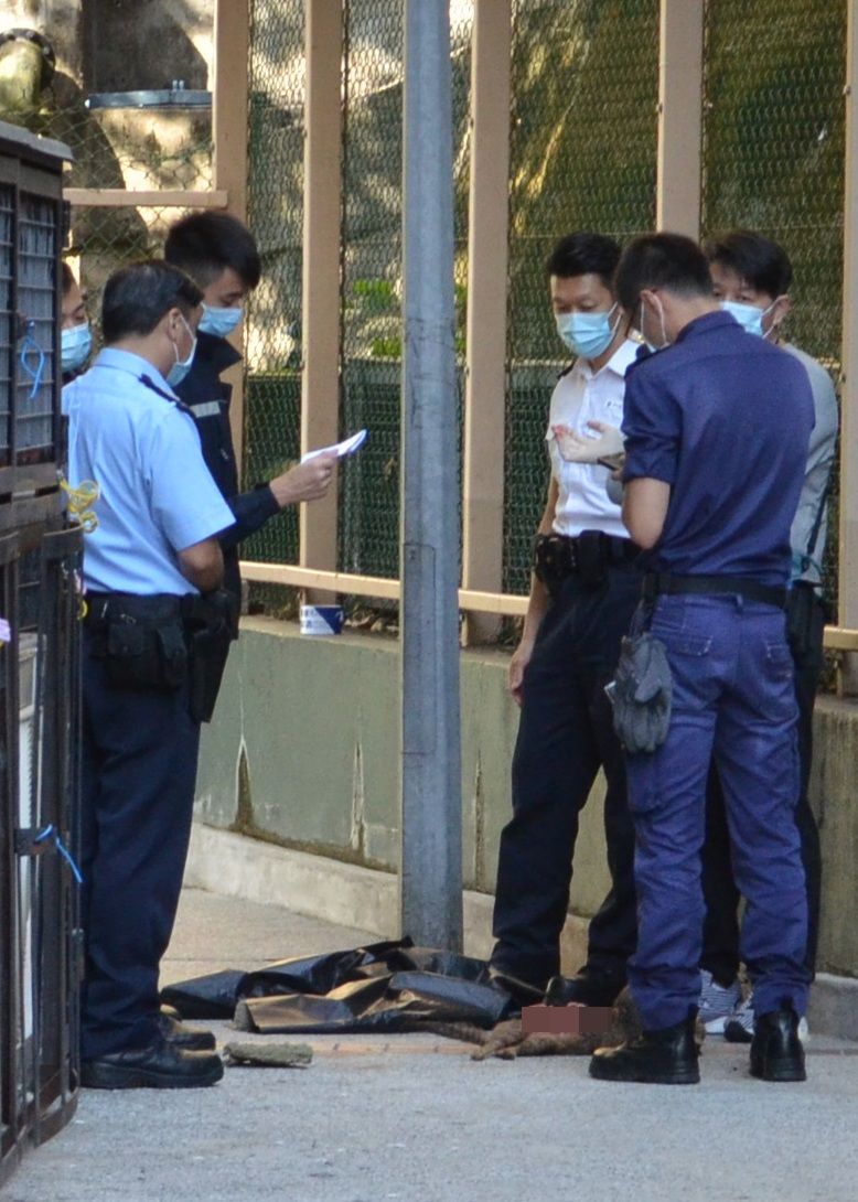 警員正調查貓咪是否曾受殘酷對待。林思明攝