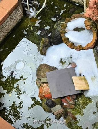 龜途 The Turtle's Inn 影片截圖