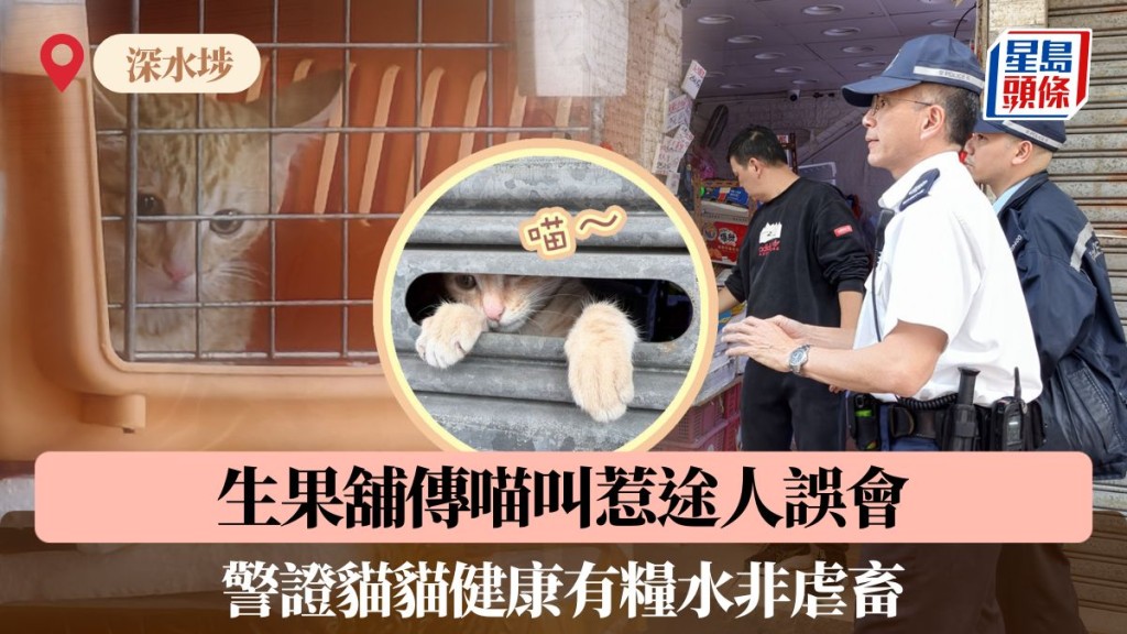 深水埗生果舖傳喵叫惹途人誤會 警證貓貓健康有糧水非虐畜