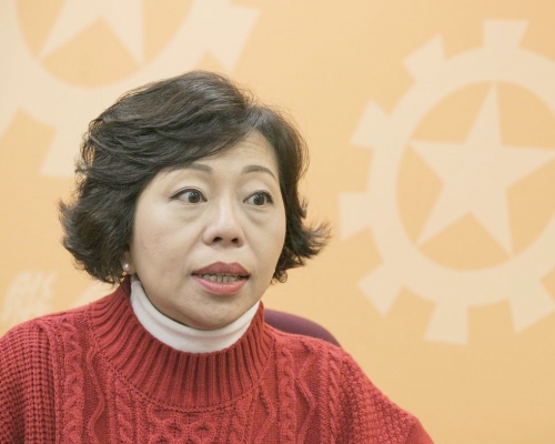 麥美娟指,希望政府在土地規劃方面可有多一個選項。資料圖片