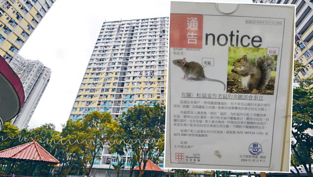 上水太平邨現鼠蹤?管理處澄清「美麗誤會」 教科書級告示獲激讚