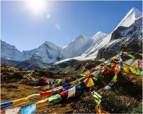 青藏高原由多个次级地块多次碰撞拼合形成。网图
