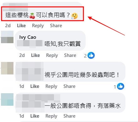 facebook截图（资料来源：Ivy Cao＠facebook将军澳主场）