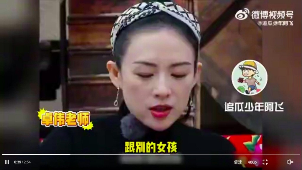 章子怡惊被爆离婚内幕原因！（TVBS新闻网图片）