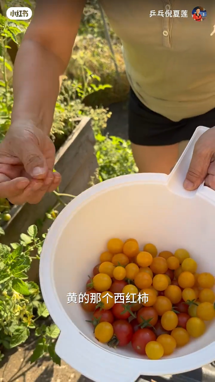 倪夏莲家中的花园面积几乎达一个小山头咁大。