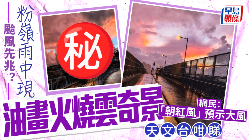 颱風先兆？ 粉嶺雨中現油畫火燒雲奇景 網民：「朝紅風」預示大風 天文台咁睇