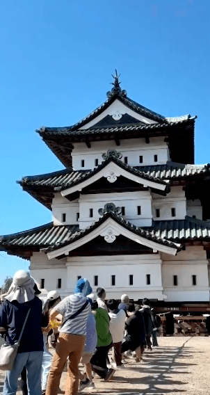 日本青森縣弘前市近日上演「真人搬城」奇景。路透社影片截圖（下同）