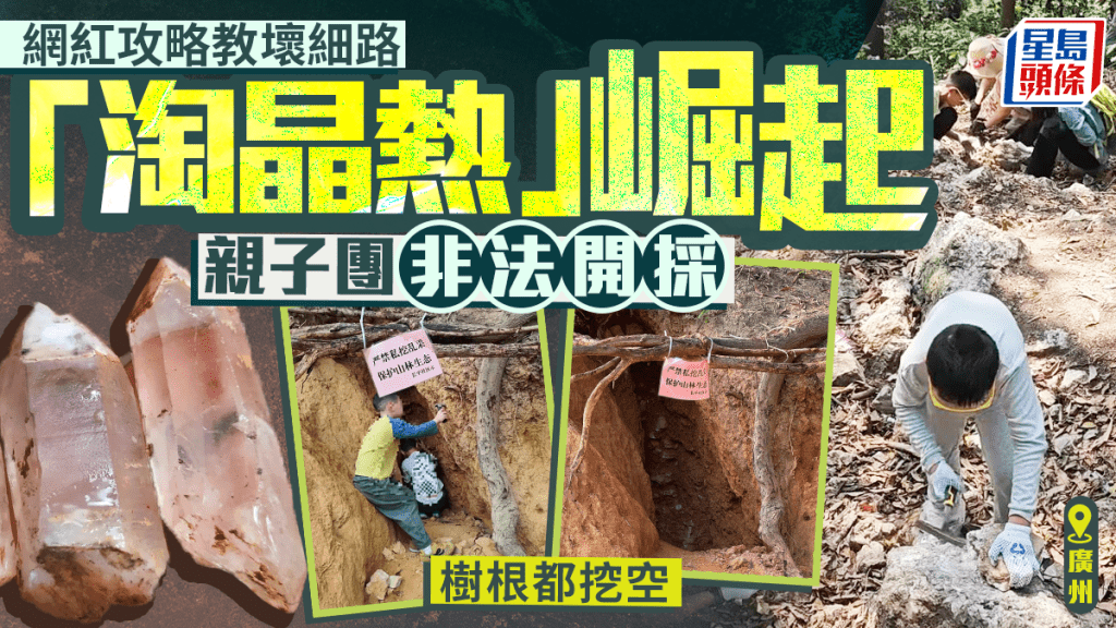 廣州「淘晶熱」｜「親子團」瘋狂非法開採  網紅挖水晶攻略教壞細路