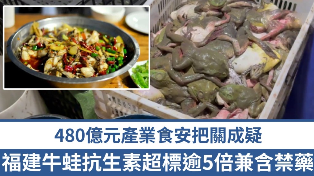 福建漳州「牛蛙」被揭抗生素超标逾5倍兼含禁药。