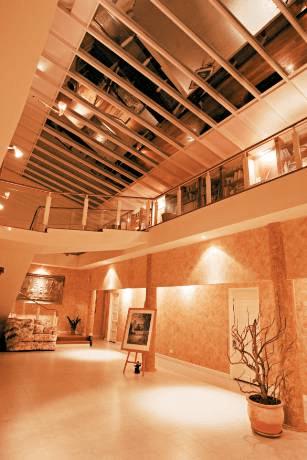 甄妮逾萬呎莊園別墅曝光看透娛圈歸隱桃園享受農場日常：太多是非、太多妒嫉陷害
