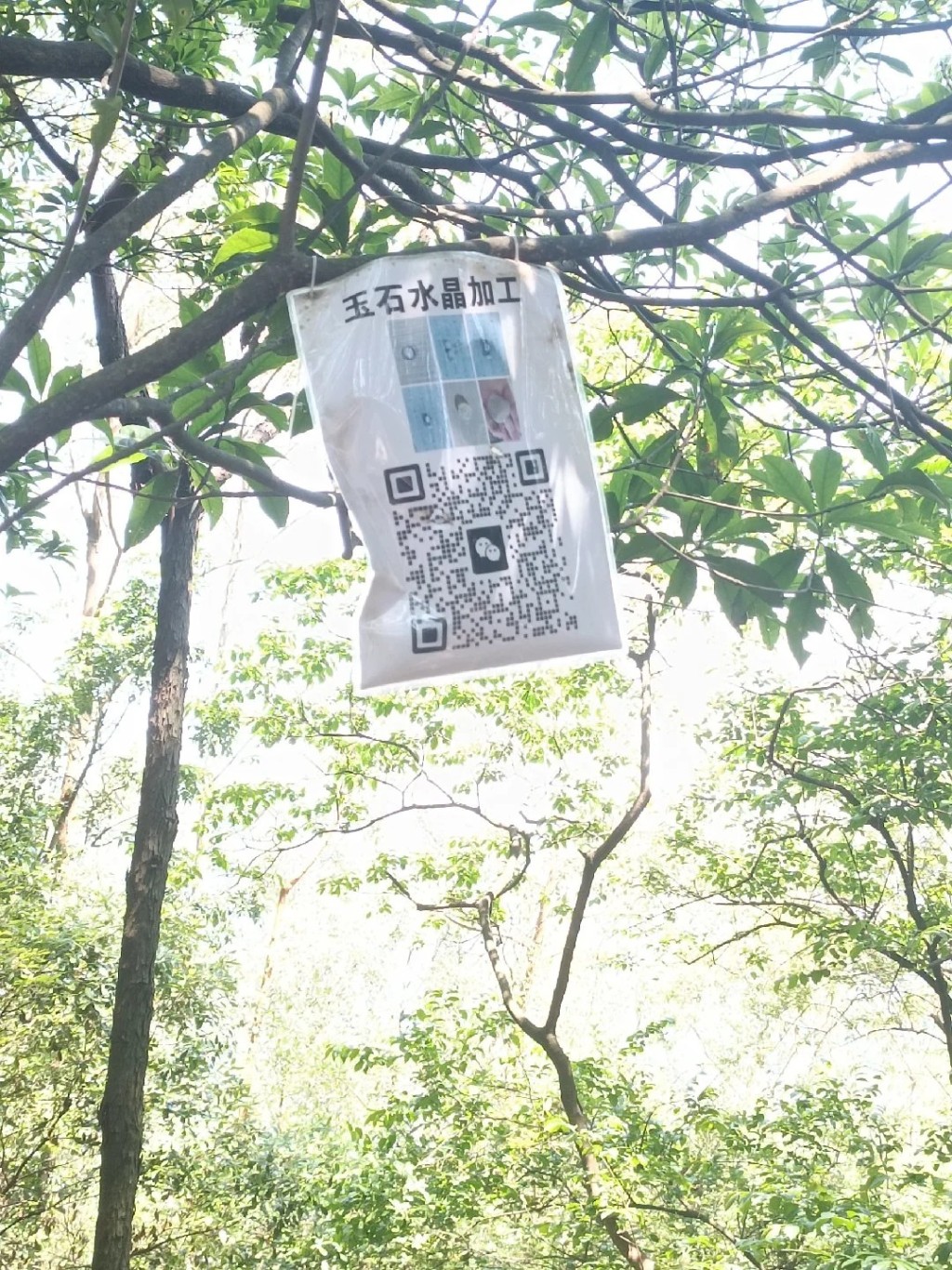 广州暹岗大山遭非法开挖水晶，有人招揽水晶加工生意。小红书@山木屋