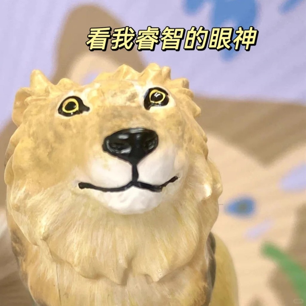 上海博物館雄獅標本因面容怪異意外走紅。小紅書@寶榛的動物園兒ww