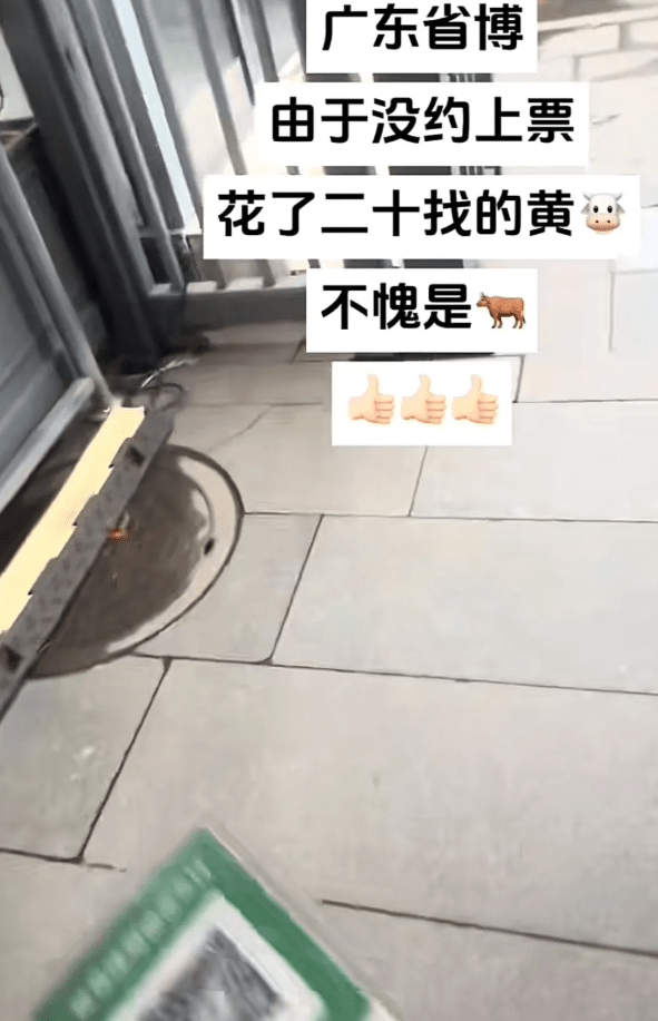 廣東省博物館出現老人充當黃牛帶人入館的情況。瀟湘晨報